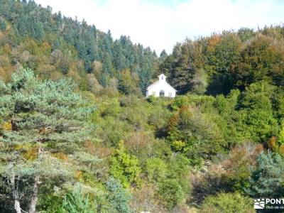 Selva de Irati - Puente del Pilar la tejera de lozoya puente 12 de octubre rutas senderismo en madri